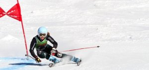 17360_335617730179_5465538_n