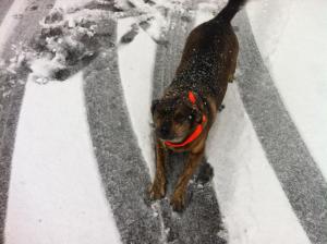 63306_10101439547991150_1062545415_n